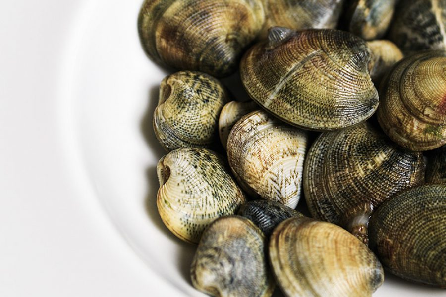Claudio Lattanzio,  vongolaro di seconda generazione, porta a tavola i profumi del mare