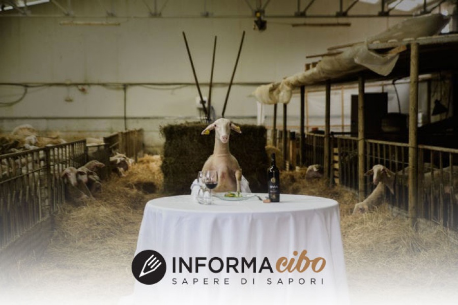 Informacibo: “Farmer, “dalla terra alla padella” riparte dalla Romagna”