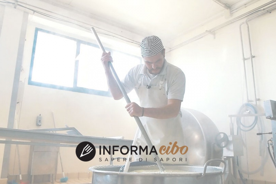 Informacibo: “Farmer tappa seconda: nelle Marche con Rapisarda”